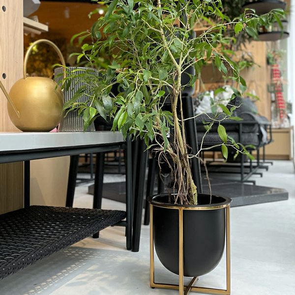 アイアンプランター ウィズゴールドスタンド H25 | upstairs outdoor