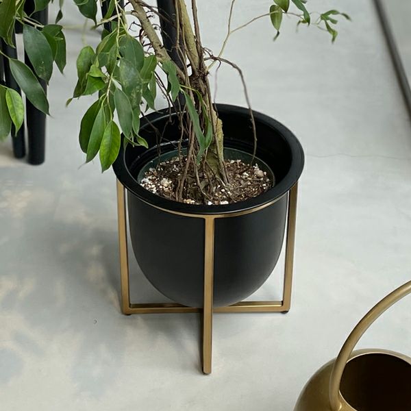 アイアンプランター ウィズゴールドスタンド H25 | upstairs outdoor