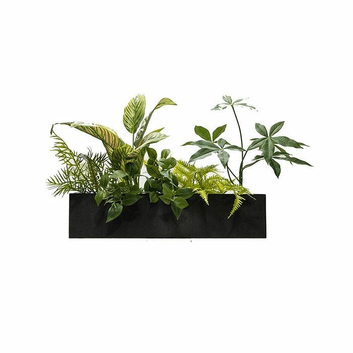 PIANTA×STANZA(ピアンタスタンツァ)ウォールボックスフェイクグリーンフォレストホワイトウッド/チーク/クリア/エボニー