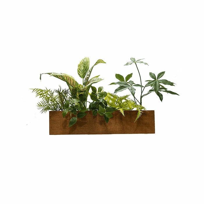 PIANTA×STANZA(ピアンタスタンツァ)ウォールボックスフェイクグリーンフォレストホワイトウッド/チーク/クリア/エボニー