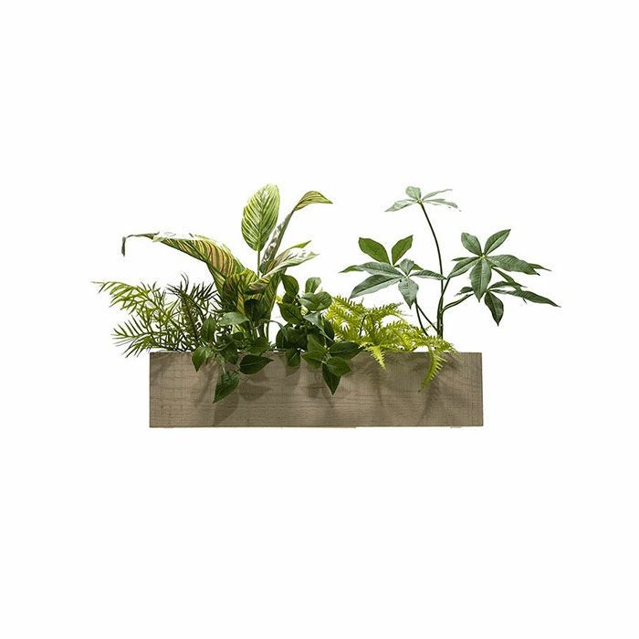 PIANTA×STANZA(ピアンタスタンツァ)ウォールボックスフェイクグリーンフォレストホワイトウッド/チーク/クリア/エボニー