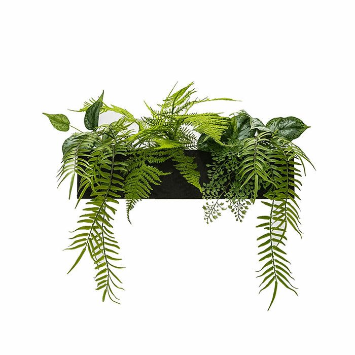 PIANTA×STANZA(ピアンタスタンツァ)ウォールボックスフェイクグリーングリーンフォールホワイトウッド/チーク/クリア/エボニー