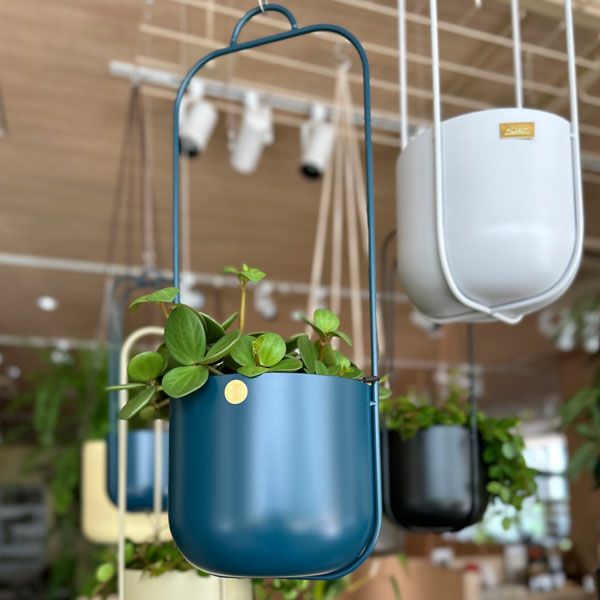 ロータスハンギングポット シングル ぺトロール | upstairs outdoor living