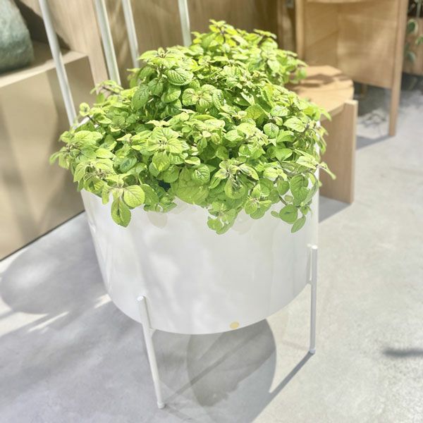 エアリープランターラージ Φ42 ホワイト | upstairs outdoor living