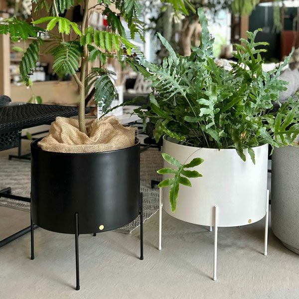 エアリープランターラージ Φ42 ホワイト | upstairs outdoor living