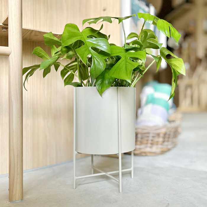 アイアンプランターウィズスタンド Ф19 グリーン | upstairs outdoor
