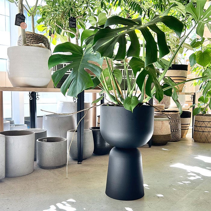 アイアンプラントスタンド ブラック H58 | upstairs outdoor living