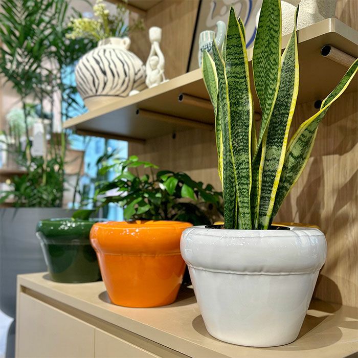  Studyo ピエールプランター ヨーク イエロー 鉢 ピエールプランター ボーン Φ25 | upstairs outdoor living