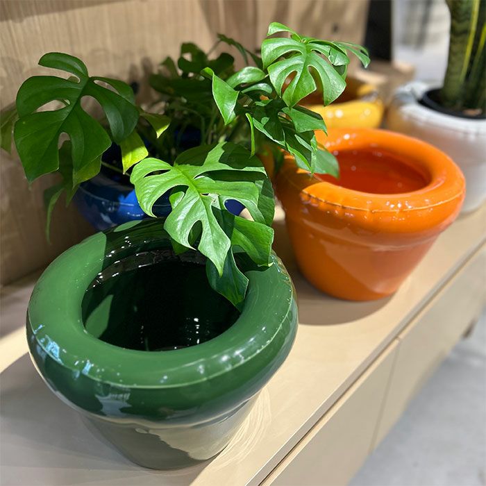 ピエールプランター モス Φ25 | upstairs outdoor living